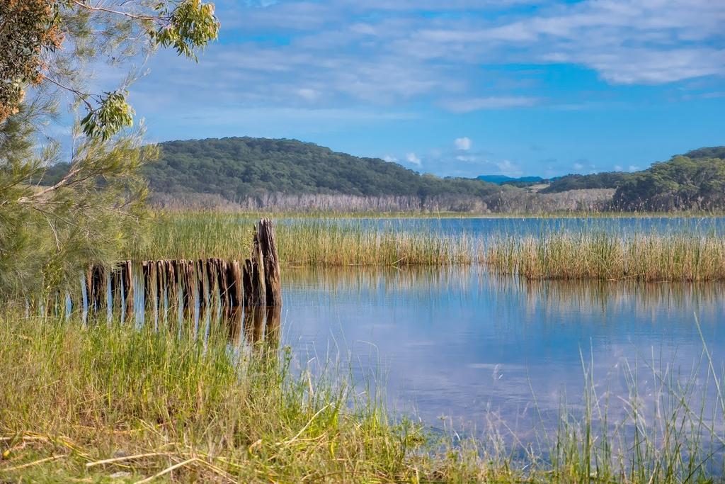 Cabarita Lake Apartments Cabarita Beach Esterno foto